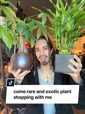 wait until the end for the rare plants and haul #plants #rare #exotic #new #shopping #haul #grateful #viral 