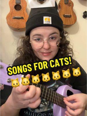 Meow meow meow #ukulele #ukulelecover #cats #fingerstyleukulele #lavaukulele 