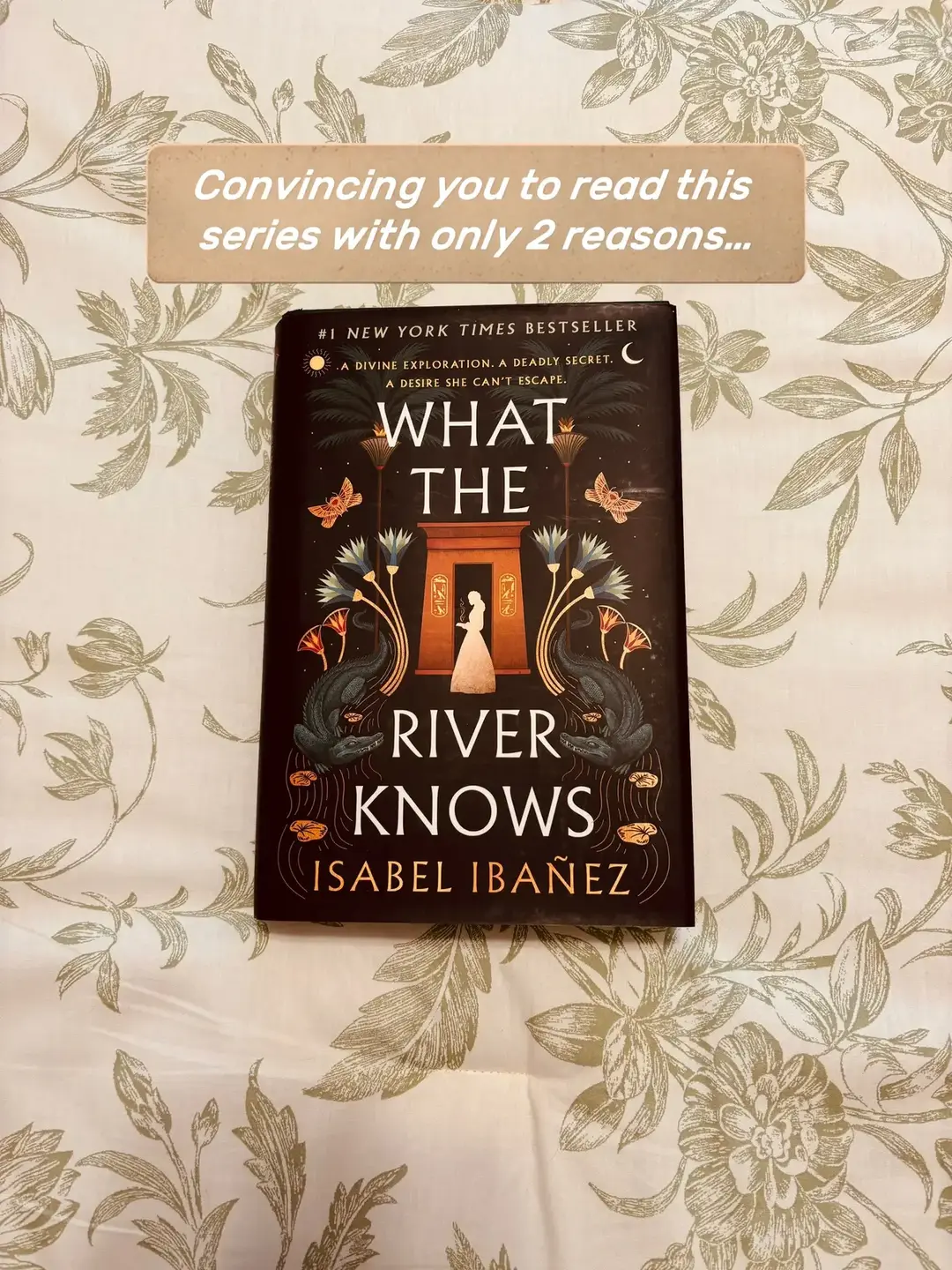 I’m in love with Inez & Whit❤️‍🔥 #BookTok #bookrecs #whattheriverknows #books 