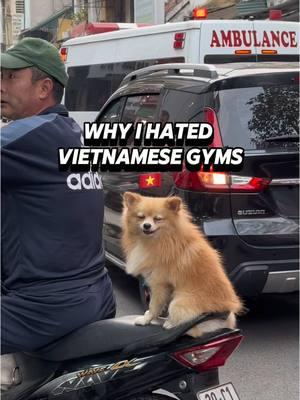 I loved every other part of Vietnam but the gym situation needs to change 😭  #vietnam #GymTok #gym #fitness #FitTok #vietnamtravel #fypシ #fitnessbeginner #gymmotivation #fypシ゚viral 