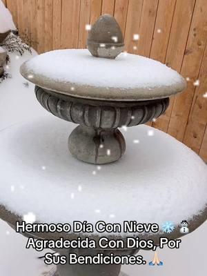 #diaconnieve❄️🥶🌨 #invierno #nieve #fuente #congelada🥶 #dyp #tiktok 