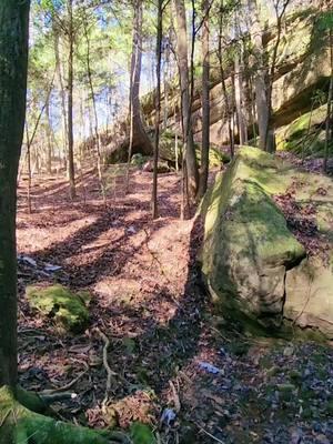 Taking a break at Anniversary Falls deep within Bankhead National Forest. 👍😎 #hike #offtrail #alabama #chasingwaterfalls #paradise #LifeIsGood #livingmybestlife #waterfall #adventure #nature #goodtimes #fyp 