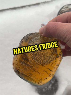 Replying to @Smoke Daddy Josh ahhh yes, natures fridge, that reminds me….. #snackgod #winter #snowstorm #crownroyal #malort #snackhomies 