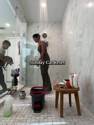 Showering all 3 cat is a workout!! #fyp #cattok #catsoftiktok #sundayreset #catlover #chonkycat #chonkycats #catmom #kittensoftiktok #browngirl #bangladeshi #husbandwife #catmom #catsvideo #catvideos #funnycat 