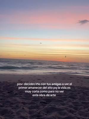 por más “sí” este año, para no perderse de estás cosas! 💛🧡  #fyp #amanecer #miamisunrise 