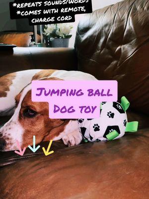 #dogtoy #dogtoys #dogtoysoftiktok #interactivedogtoy #sweetfurbabies #furbabies #furbabiesoftiktok   #doglover #doglovers #dogloversoftiktok  #dogmomsoftiktok #dogloversoftiktok  #bassetbuddies #BestFriends #bassholes #dogsoftiktokviral  #bassetears #bassethound #bassethoundsoftiktok  #dogmom #dogmomlife  #foryoupage #viral #fyp #fypシ #foryou #viralvideo  #trending #follow #foryoupagetrending #foryoutrending #follow  #trending #tiktokshophauls #tiktokshopmusthaves #tiktokshopmusthave #tiktokshopreview #tiktokshopreviews  #tiktokshopfinds #bargains 