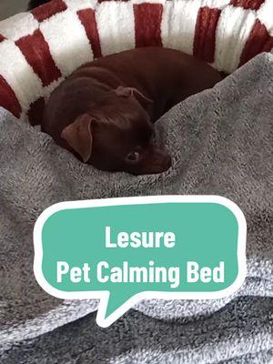 Lesure donut calming pet bed. Use with Dogs & Cats #lesure #dog #donutdogbed #calmingpetbed #dogbed #catbed  #petcare #dogmomma  @LESURE.US.Shop 