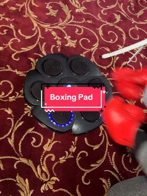 The kids are going to love this boxing pad! #boxing #boxingpad #boxingtrainer #boxinggame #homeboxing #newyearnewaura #newyearnewaura #mademyyear #ttslevelup #tiktokshopjumpstartsale 