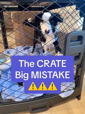 What if we had it wrong all along? 😣  🐶Welcome to episode 2 of my new “raising an unbothered puppy” series!🐶 Anyways, maybe this doesn’t change the normal “crate training” steps, but it does give me more empathy for my puppy When we understand their viewpoint, we can approach our training efficiently  We can make the crate a positive place until my face turns blue, but if Aura doesn’t feel safe & secure to be without - for even a few seconds - then it’ll make crate training much harder Net: building your puppy’s confidence is key in ALL training, crate training included. While practicing crate games (let me know if you need a video on this), also practice SHORT distances away from you without letting your puppy go over threshold  If you want a video on this - again let me know! This new “unbothered” puppy series is for YOU, where I’ll share what Ive learned from experts & personal experience, so let me know how I can help in the comments Xo #puppytraining #newpuppy #DogTraining #puppymom #meetmypet 