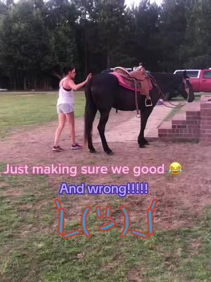 #😂😂😂😂😂 #nottodaysatan #fun #lordhelpme #iykyk #fyp #horsesoftiktok 