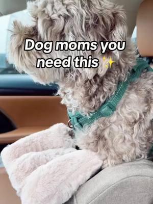 This dog 🐶 car seat is AMAZING! It's both a car seat and pet bed and it’s made traveling so much eaiser!! I love it and so does my #cockapoo   #dogcarseat #luxurydogcarseat #dogcarseat #dogcarrier #dogfyp #fyppup #cockapoolove #smalldogs #dogseating  #dogtravel #forpet #doglover #puppycarseat #dogcar #dogmom #dogsoftiktok#puppyessentials #dogcarsetup #dogcarseatbed #creatorsearchinsights #petcarrier 