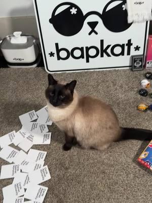 Lets see how she does! #footballfeud #bap #game #review #approved #cat 