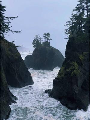 Hikes to the beach ⛰️ #hike #nature #beach #pnw #oregon #naturalbridge 