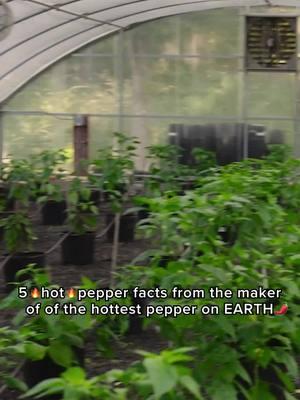 5 hot pepper facts from smokin' ed, the hottest pepper maker in history 🌶️ #hotones #peppers #spicy