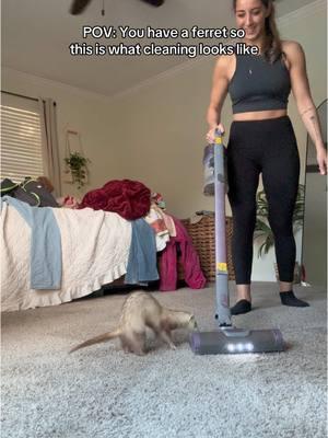 Vacuum time is a whole party #tuna#tunahaul#ferret#ferretsoftiktok#ferrettok#pets#fyp#foryou#foryoupage#animaltok#dogtok#cattok#babytok#toddler#momtok#momlife#dogsoftiktok#funnyanimals#funnypets#animalvoiceovers#voiceover#southerngirl#PetsOfTikTok#zoo#Home#house#clothes#wildlife#wildliferehab#georgia#southgeorgia #baby#toddler#momhack 