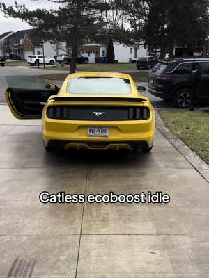 Smells nice and good#23dola #mustang #ecoboost #straightpiped #catless 