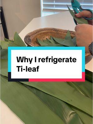 One of my favorite tips! Ti leaf stays fresh in the fridge for 4 weeks or can be frozen to use to make ti leaf roses or maile leis #tongankahoa #leimaking #leis #leimaker #tileaf 