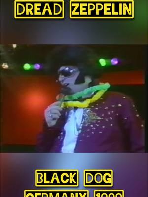 Dread Zeppelin - Black Dog  (1990) Live from Germany  From the documentary Dread Zeppelin: A Song Of Hope streaming free!  #chibson #dreadzeppelin #documentary #asongofhope