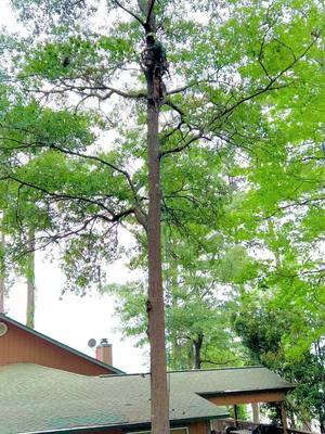 #treeremoval #climber #fypシ #treeremoval #house #lake #goodvibes 