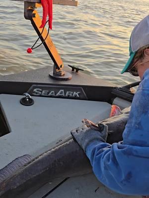 Good times in the awesome SeaArk EasyCat! #SeaArkBoats #boatsbuiltforlife #EasyCat #thecatfishingduo #catchthefever #fyp #slimeline #monsterrodholders #catchthefever #suzuki #MarineMastersTrailers #hellcatrods 