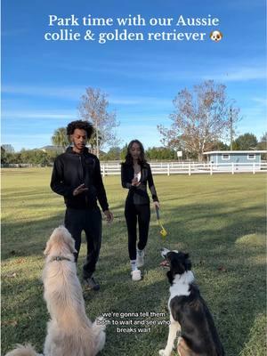 Day in the life as pup parents 🐶☺️ #haleyndavante #couplegoals #slowliving #Lifestyle #dogparents #DogTraining #parktime #aussiecollie #australianshepherd #goldenretriever 