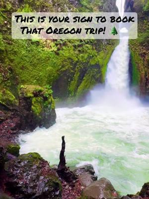 Book that flight to Oregon! ✈️ 😍😍😍🌲 #PDX #oregon #hikingtrail #multnomahfalls #beaconrock #nature #fyp #viral #foryou