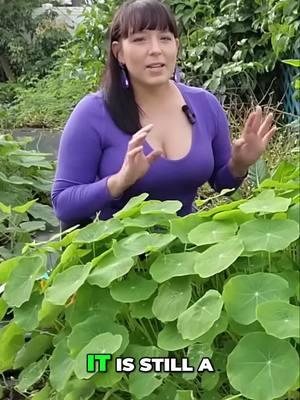 Discover the joys of growing edible flowers, planting hearty carrots, and harvesting sweet potatoes in warm climates. Join us for tips that will transform your garden into a vibrant, productive sanctuary! Find unique seeds & plants on my website. Learn more tips about cultivating your garden on my YouTube channel. #GardenLife #HomeGardening #PlantTips #NatureLovers