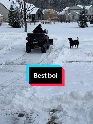 Black labs are the best labs 🥰 #happyboi #goodboi #blacklab #snowplow #plowing #plowingsnow #atv #atvplow #canam #canamoutlander #outlander850 #atvsnow #winter #snow #snowing #zoomies #snowzoomies #montana #dog #snowremoval #plow 