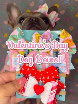 Only 4 “Be Mine” bows left! Visit our page for more info on all of our Valentine’s Day dog bows! 🥰 #valentines #ValentinesDay #frenchiesofinstagram #frenchielove #frenchielife #frenchieoftheday #bulldog #dogs #puppylove #dogaccessories  #puppies #frenchiemom #frenchiepuppy #frenchbulldog #frenchie #frenchies #dogmodel #dogbows #doberman #dachshund #poodle #pitbull #bully #lab #husky #canecorso #yorkie #schnauzer #shitzu  