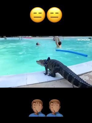 COME ON NOW LIKE SERIOUSLY SMFH 🙄😑🤦🏽‍♂️ #fyp #foryoupage #fyppppppppppppppppppppppp #viraltiktok #damn #wtf #ohhellno #alligator #nope #lol #toofunny #hilarious #humor #funnyvideo #funnytiktok #funnytiktokvideos 