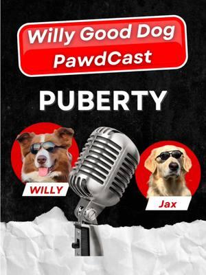 When your co-host hits pup-erty on the all new PawdCast podcast🐾🎙️ #pawdcast #podcast #puberty #RuffPhase