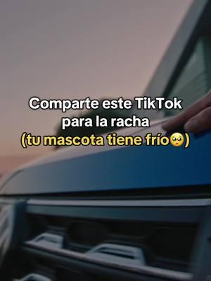 Un verdadero Volkswagen Lover cuida a la mascota de su racha. Comparte este video y hazla feliz.  #fyp #paratiiii #vwlovers #vwmexico #volkswagen #racha #suvw  