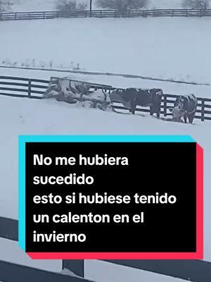 El invierno está azotando muy fuerte en Estados Unidos, y es muy importante tener un calentador en nuestras casas. #heater #airheater #dieselheater #vevor #camping  #campinglife #workshop #winter #calenton #calentadordeaire #calentondediesel #invierno #TikTokShop #usa @Vevor_US 