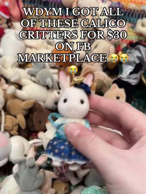 screaming about this deal of a lifetime 🥹😭 #calicocritters #calicocritter #toys 