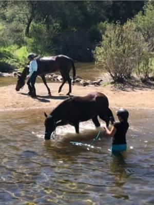 #touchgrass #goplayoutside #sunshine #vitamind #d3k2 #horsebackride #pasofino #quarterhorse #watercrossing #goplay #gooutside #outside #mindful #equestrian #happytrails #horse #horsethief #horsethiefcanyon #sandiego #nature 