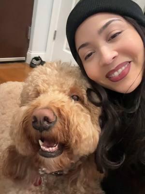 🥰🐕 #jessicaanddarwin #kobethegoldendoodle #familyovereverything #goldendoodlesoftiktok 