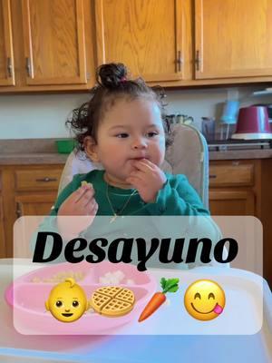 Deliciosos waffles de zanahoria con  banana para mi princesa 😋🥕🧇👶#waffles #alimentacioncomplementaria #toddler #mamaprimeriza💖🌺 