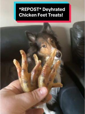 * REPOST*  Make some dehydrated chicken feet for my service dogs!  * * #dogtreats #treats #chickenfeet #chicken  #servicedogs #servicedog #servicedogcommunity #serviceanimals #serviceanimal #dogs #dog #dogcommunity #education #medicalalertdog #disabled #disability #nj #newjersey #njservicedog #fyp #fy #foryoupage #viral #goviral #explorepage #explore #DogTraining #dogtrainer#onthisday 