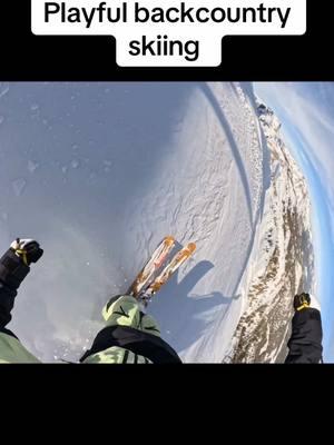 Doesn’t get much better than when the snow shows up! #teleskiing #powday #skitok 