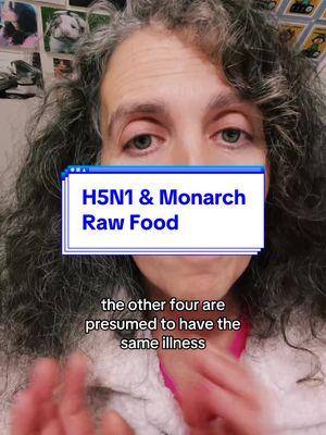 Veterinarians are accused of making diet recommendations that supposedly earn us kickbacks. Why do people believe this falsehood yet do not see the inherent bias of raw food companies, boutique brands, and influencers? #h5n1 #hpai #cats #dogs #petfood #rawdiet #veterinary  