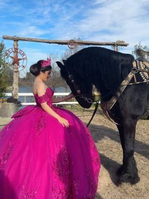 Renta de vestido y Hermosa session de quince con caballo. Si no vas a tener quince. Te ofrecemos  Vestido = @Anas XV Gowns  Makeup = @Sabina Torres  Caballo= @Fermin Gutierrez  Y photography  $1399 @Joanna  #dallasquinceanera #caballosbailadores #quince #houstonquinceañera #austinquinceañera #austinquinceañera #trendingreels #explorepage 