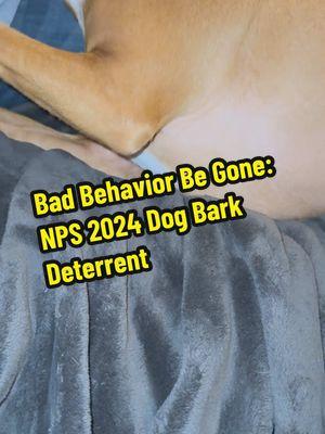 Bad behavior? Not on our watch. NPS 2024: Turning ‘ruff’ days into great ones! #DogTraining #BarkControl #GoodBehavior #HappyPup #PetParentTips #StopTheBark #CalmCanine #SmartPets #DogLovers #NPS2024