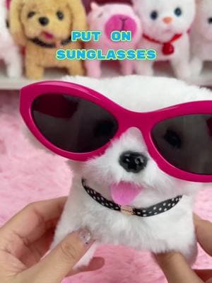 The puppy said:” Even though the sunglass is a bit big, I look the coolest and most stylish dog when I wear them!”💗😎💗 #electronicpet #puppy #sunglass #fashion #cool #cute 