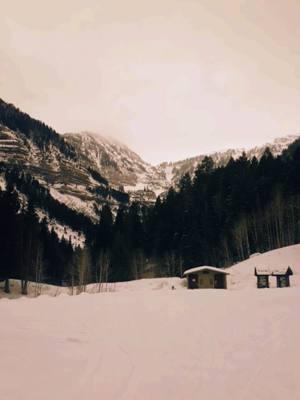 Beautiful winter day #adventure #snow #mountain #escape #utah #tibble #americanfork #beautiful 