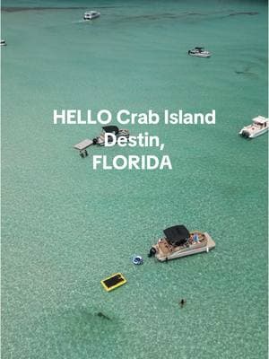 Crab Island>  #crabisland #destinfl #destin #crabislandjimmyscharters #emeraldcoastellie #trending 