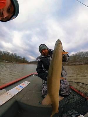 FIRST MUSKY OF 2025!!! #muskyfishing #trophytimeleaders #foryourpage #fyp #fish #fishtok #fishing #piscfunfishing @Piscifun @bigbaitbailey 