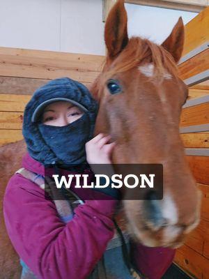 Give me 14 of them right now! 🤩 #wildson #wildsonhood Thanks @Wildson !