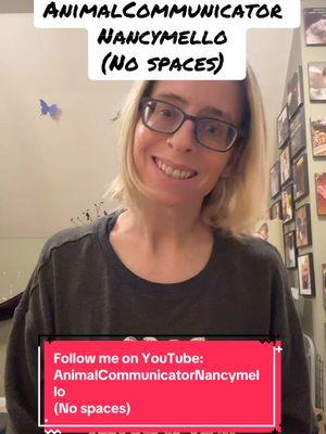 Follow me on YouTube: AnimalCommunicatorNancymello (No spaces) . #animalcommunication #animalcommunicator #petpsychic #petpsychicreading #petcommunicator #petcommunication #animalpsychic #petmedium #caninecommunication #felinecommunication #talktoanimals