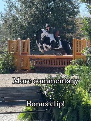 Round 2 from Saturday scoring an 81 to finish 7th! He had two light rubs which knocked off points but overall I was super thrilled! Jake also totally saw what I felt to jump 1 so I added our conversation in after! #fyp #fypage #foryou #equestrian #horsetok #horsebackriding #horseshow #empirelane #WECocala #hunterjumper #AOhunters 