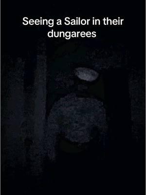Military horror !! What crazy stuff you seen while on watch ?!! #fyp #military #militaryhorror #foryou #haunted #navyship #ship #horror #scarytiktoks #scary 